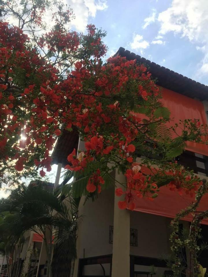 Pousada das Seriemas Pirenópolis Exterior foto